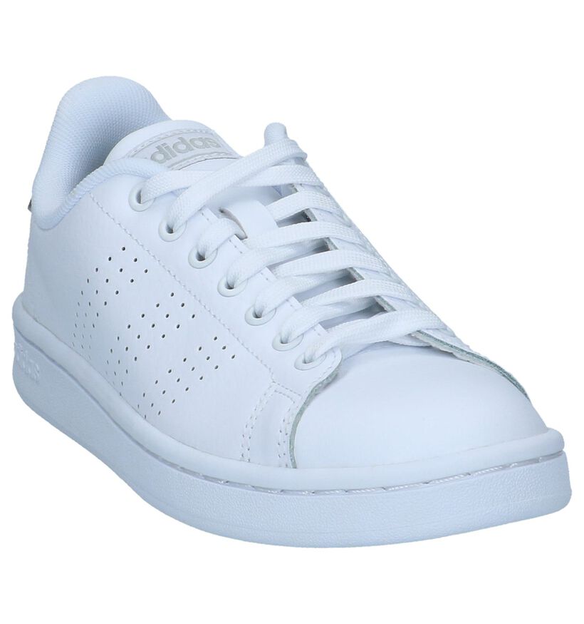 adidas Advantage CL Witte Sneakers in kunstleer (237075)