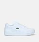 Lacoste T-Clip Baskets en Blanc pour hommes (336478)