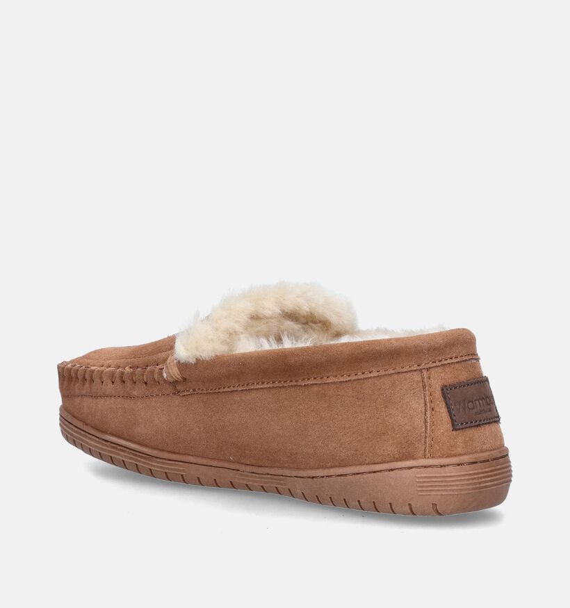Warmbat Grizzly Pantoufles en Cognac pour hommes (346343)