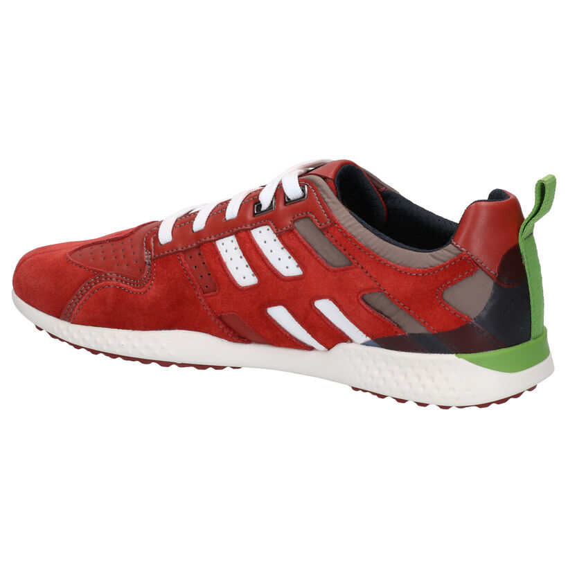 Geox Chaussures basses en Rouge foncé en cuir (270026)