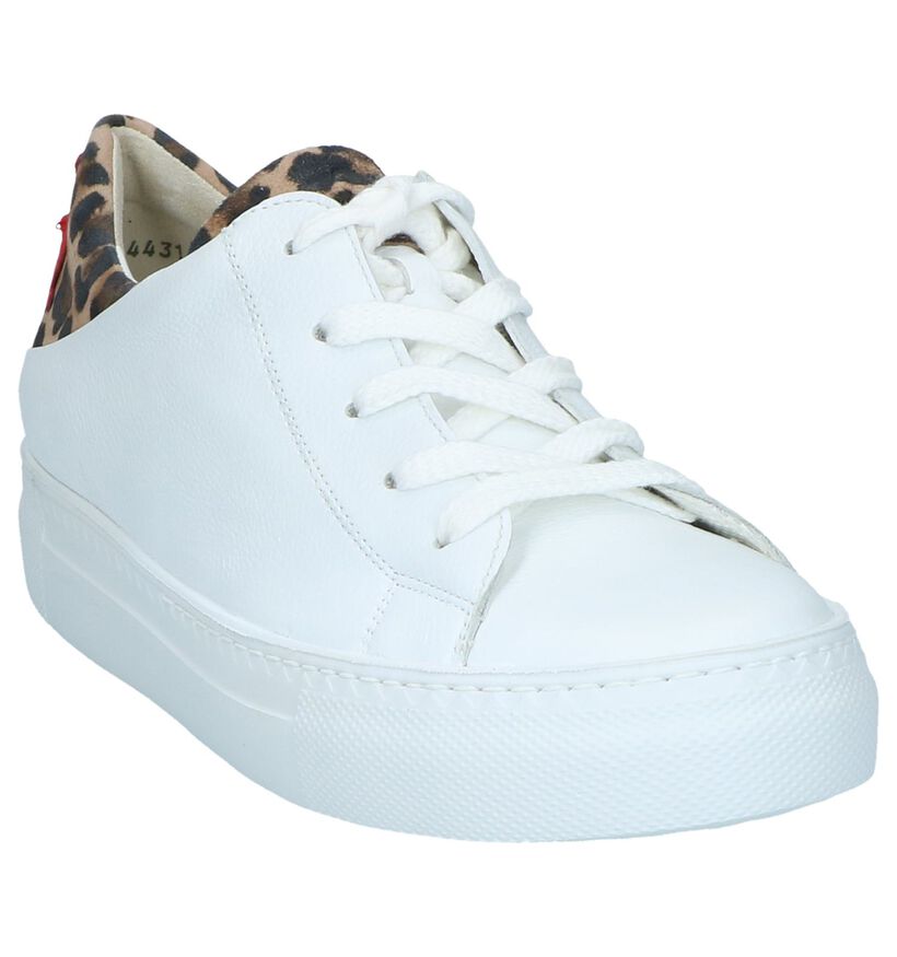 Paul Green Chaussures à lacets en Blanc en cuir (247447)