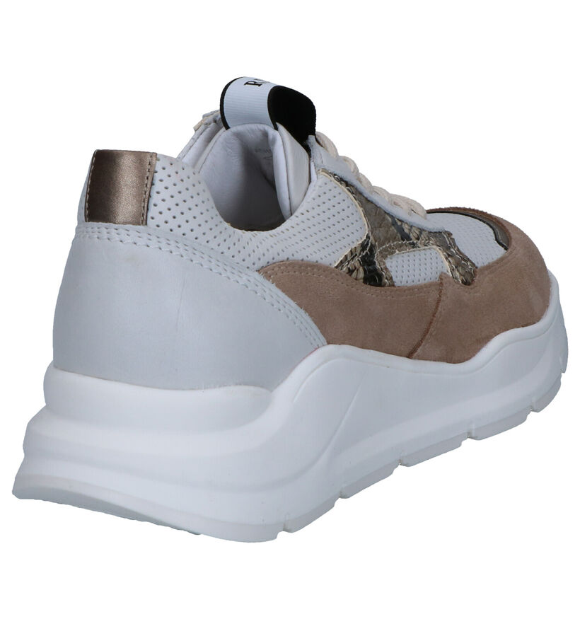 River Woods Anna Sneakers en Blanc/Beige en cuir (271173)