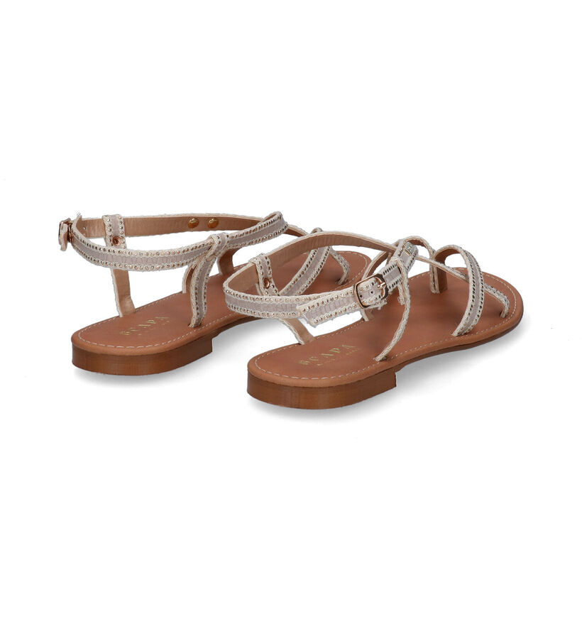 Scapa Roze Sandalen voor dames (307066)