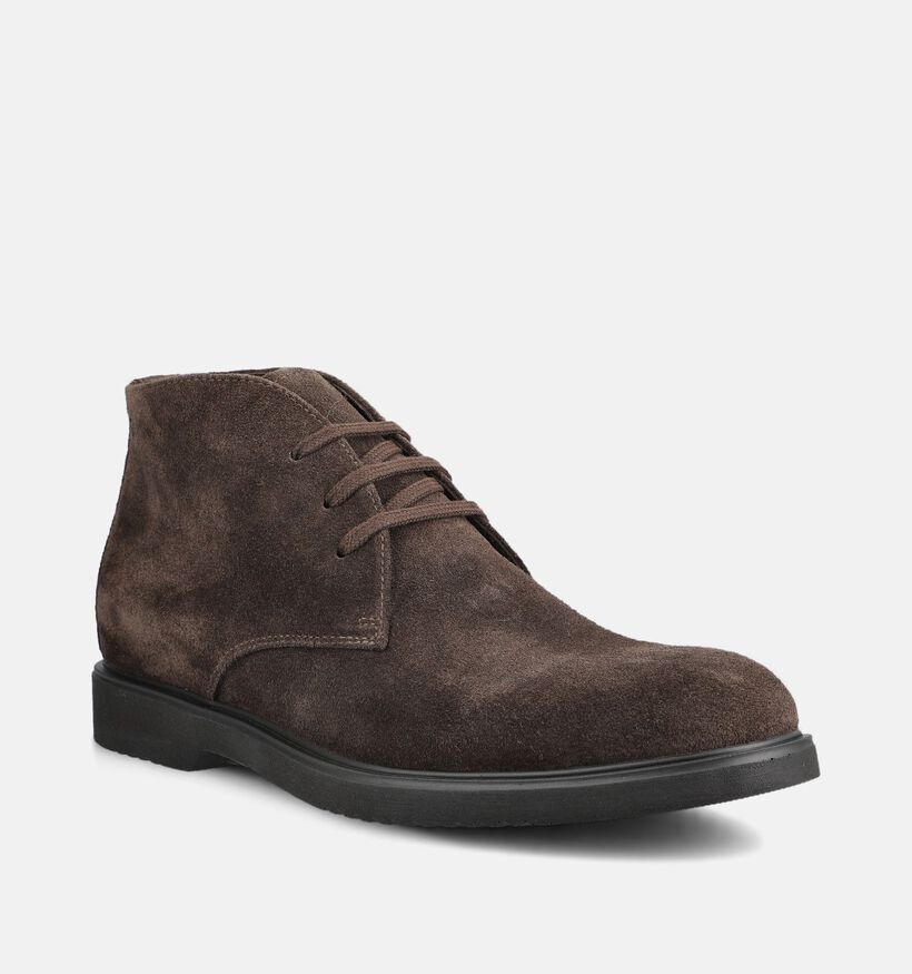 NeroGiardini Chaussures classiques en Brun fonc&eacute; pour hommes (382161)