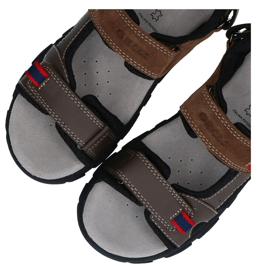 Geox Bruine Sandalen in kunstleer (286966)