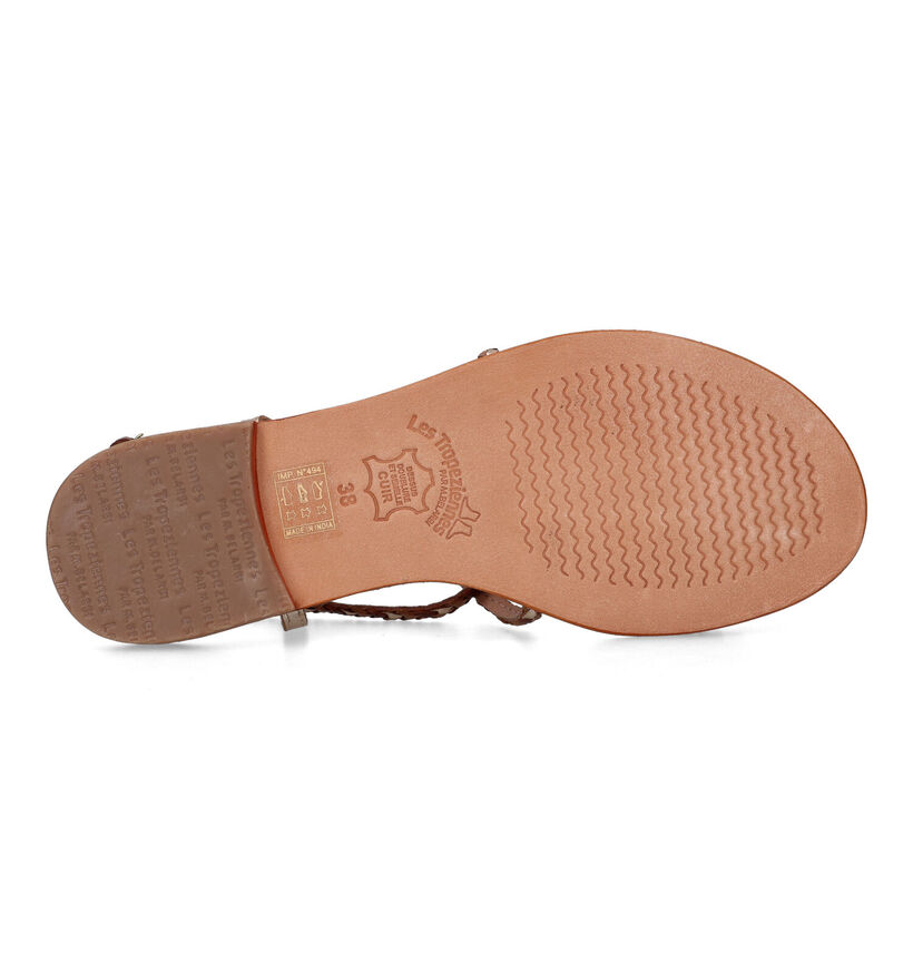 Les Tropeziennes Homage Cognac Sandalen voor dames (324736)