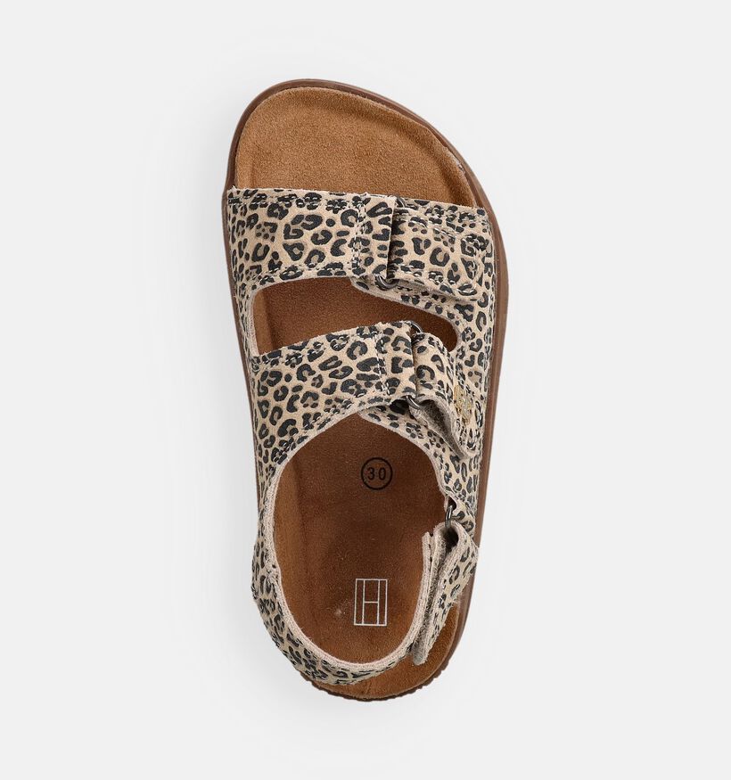 Tommy Hilfiger Sandales Leopard en Beige/Marron pour filles (368695)