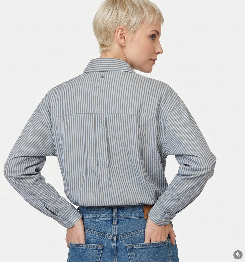Deeluxe Original Holmy Blauw Gestreept Hemd voor dames (382276)