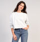 Vila Minna Grijze Sweater voor dames (353041)