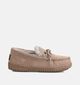 Warmbat Koala Pantoufles en Taupe pour femmes (362526)
