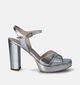 NeroGiardini Zilveren Sandalen met blokhak voor dames (355977)