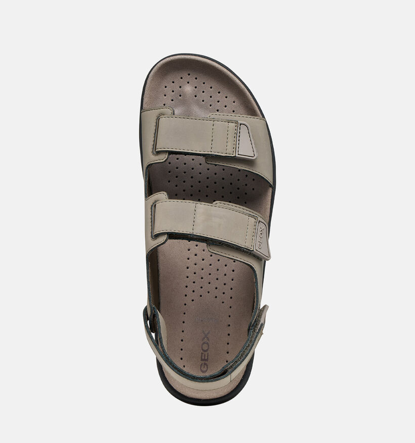 Geox Flextride Grijze Sandalen voor heren (368021)