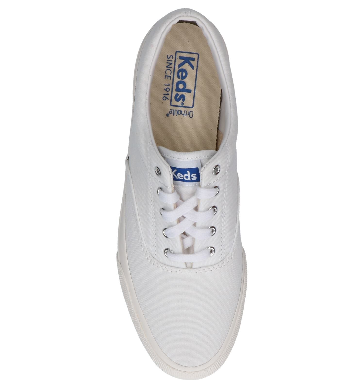 Sneakers Keds Anchor Wit Dames Sneakers Online op TORFS.BE