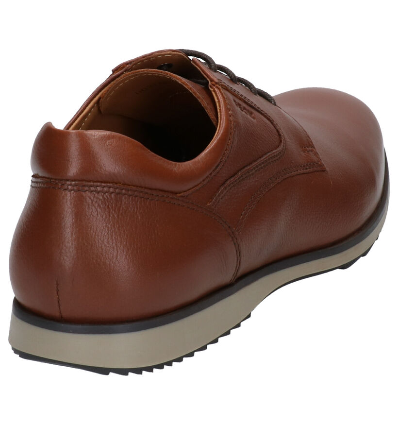 Geox Chaussures habillées en Cognac en cuir (270028)