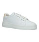 Gant Lawill Baskets en Blanc pour femmes (320882)