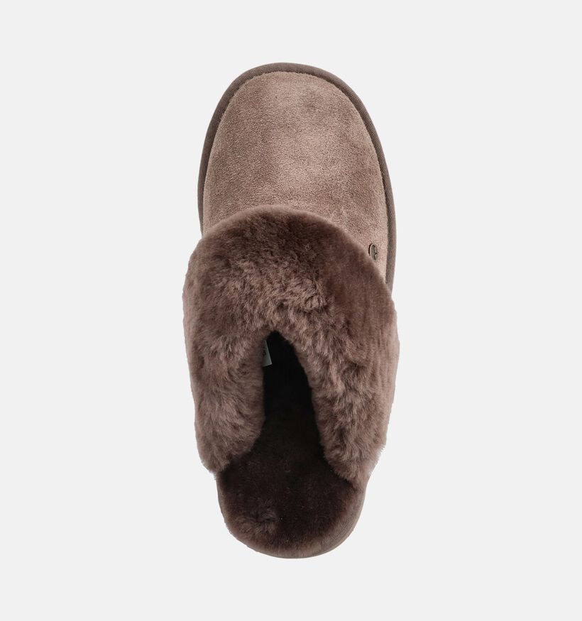 Warmbat Flurry Pantoufles ouvertes en Gris fonc&eacute; pour femmes (379630)