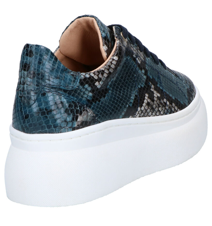 Frida Montana Blauwe Veterschoenen in leer (262447)
