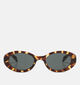 Komono Ana Tortoise Bruine Zonnebril voor dames (355162)