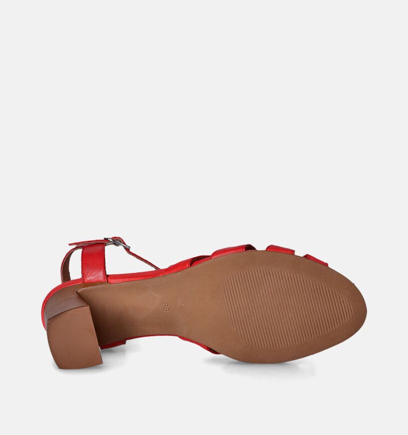 Creator Rode Sandalen met blokhak voor dames (357781)