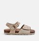 Little David Beige Sandalen voor meisjes (369844)