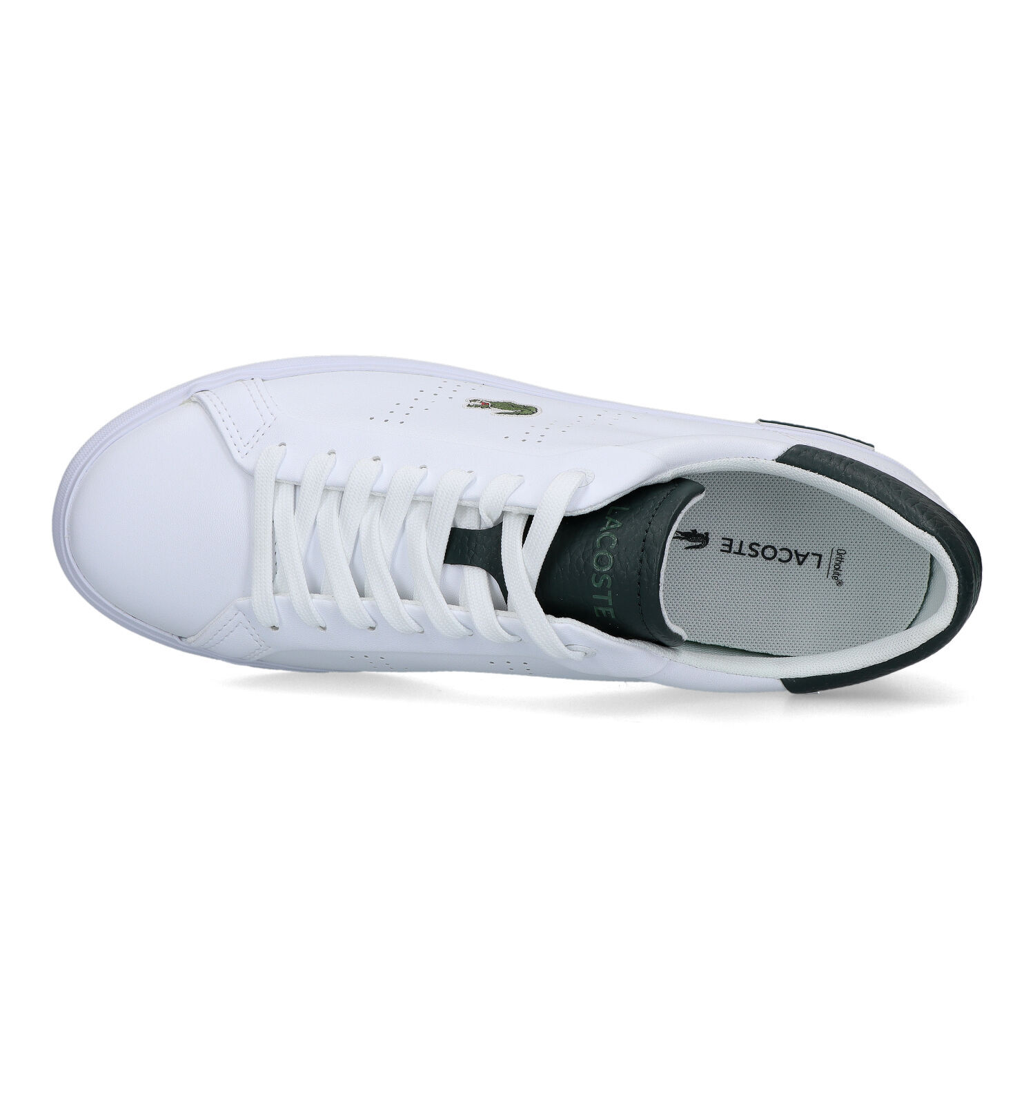 Lacoste Powercourt 2.0 Chaussures a lacets en Blanc Hommes Chaussures plates en ligne sur TORFS.BE