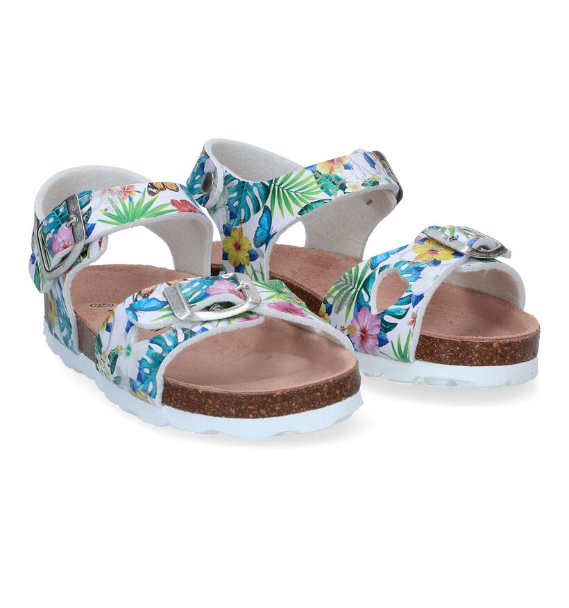 Milo & Mila Sandales en Multicolore en simili cuir (304574)