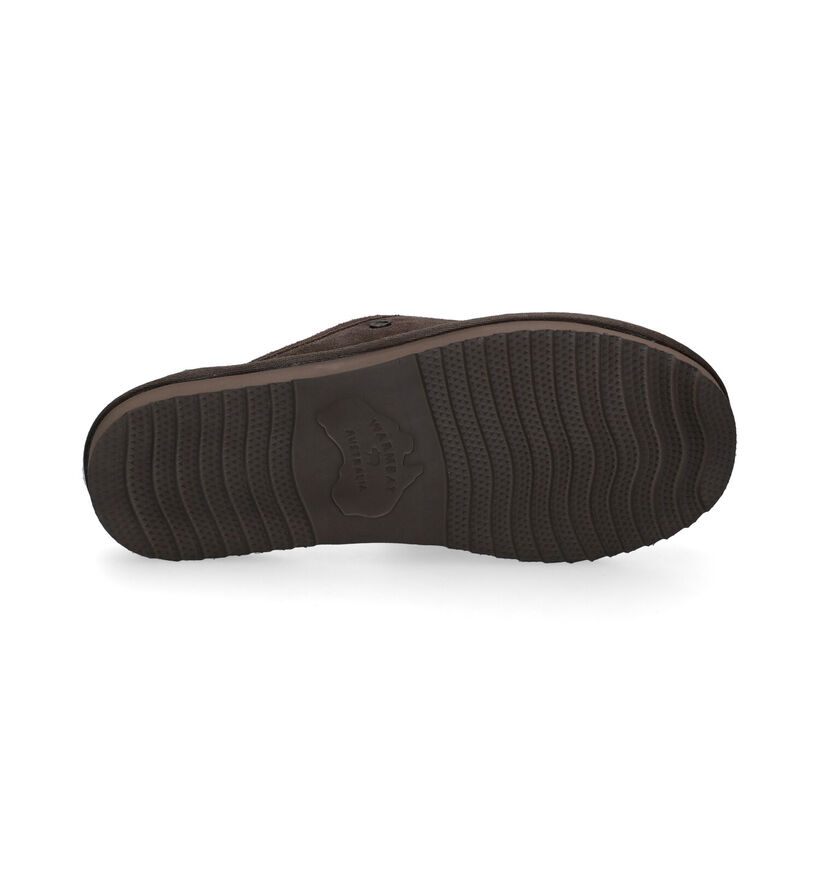 Warmbat Classic Pantoufles en Cognac pour hommes (346339)