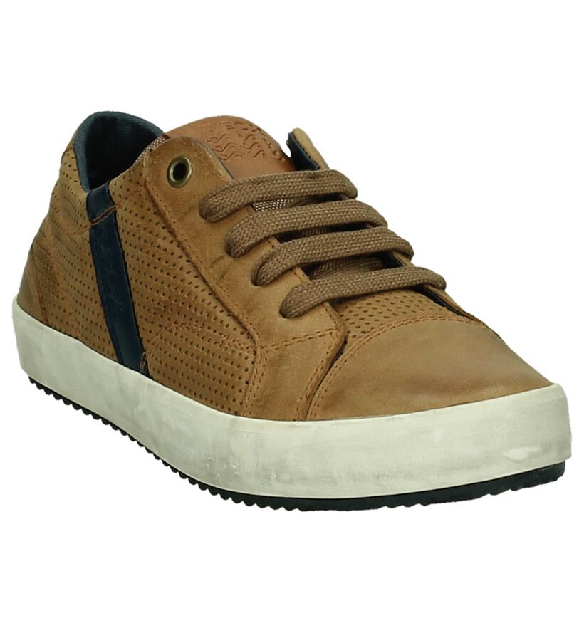 Geox Chaussures basses en Cognac en cuir (190662)