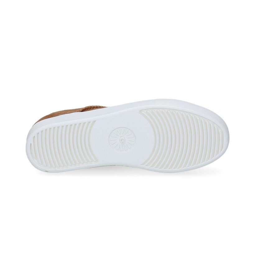 UGG Dinale Chaussures à lacets en Cognac pour femmes (294549)