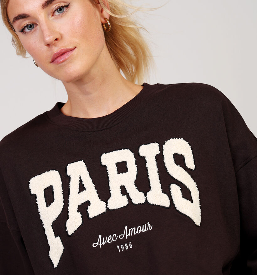 JDY Mesa Paris Donkerbruine Trui voor dames (365964)