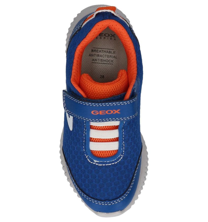 Blauwe Lage Sneakers Geox met Velcro in stof (210553)