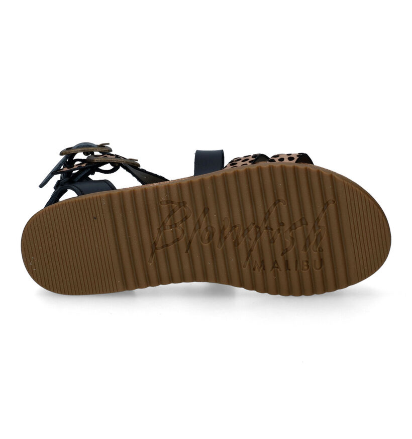 Blowfish Malibu Fandie Sandales en Noir pour femmes (339732)