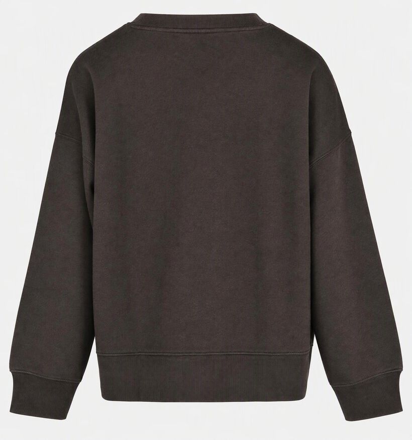 Vero Moda Curve Caisa Donkerbruine Paris Sweater voor dames (382209)