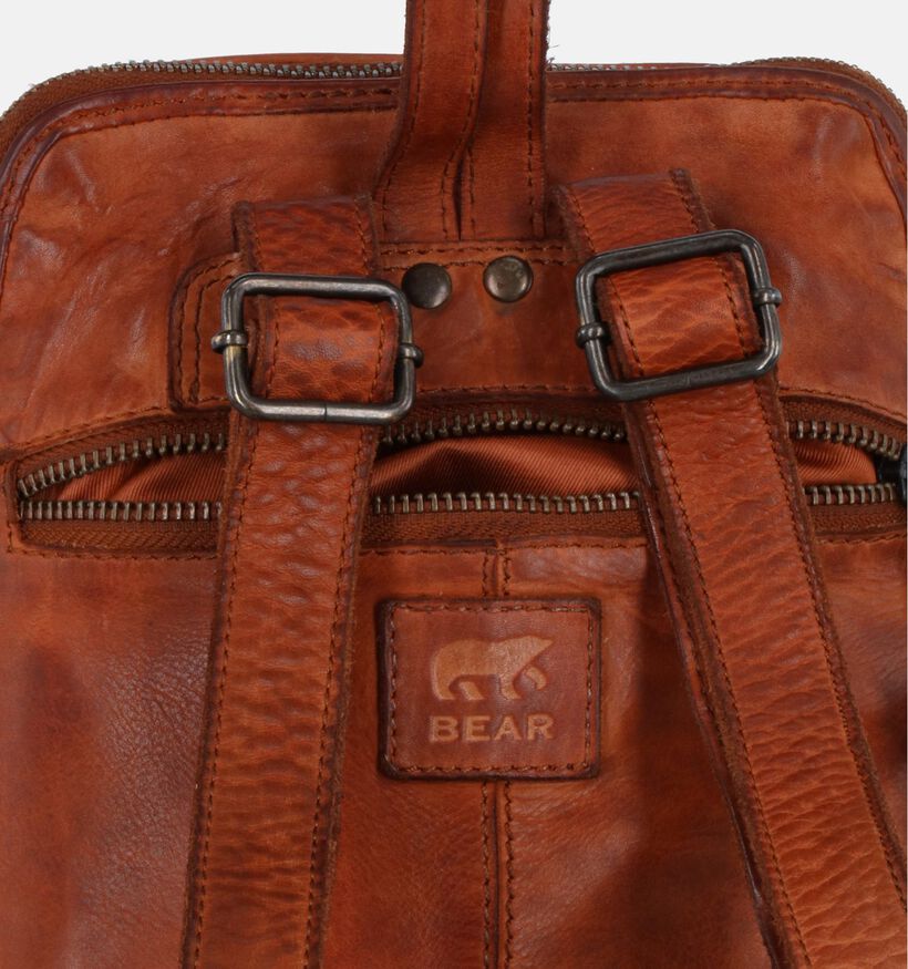 Bear Design Zwarte Rugzak voor dames (342798)