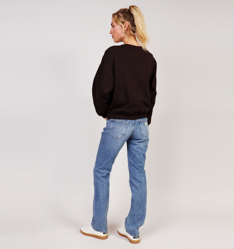 JDY Mesa Paris Donkerbruine Trui voor dames (365964)