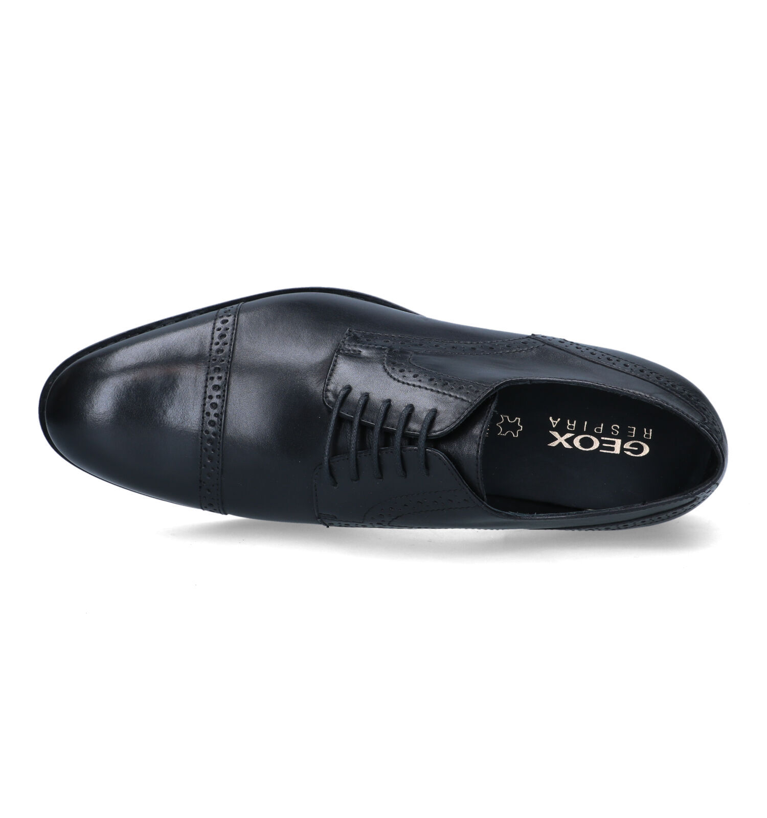 Geox Hampstead Chaussures habill es en Noir Hommes Chaussures