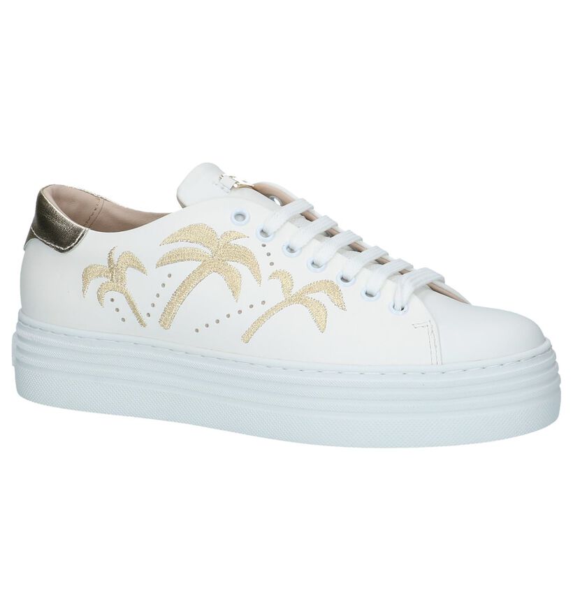 Tosca Blu Baskets basses en Blanc en cuir (214137)