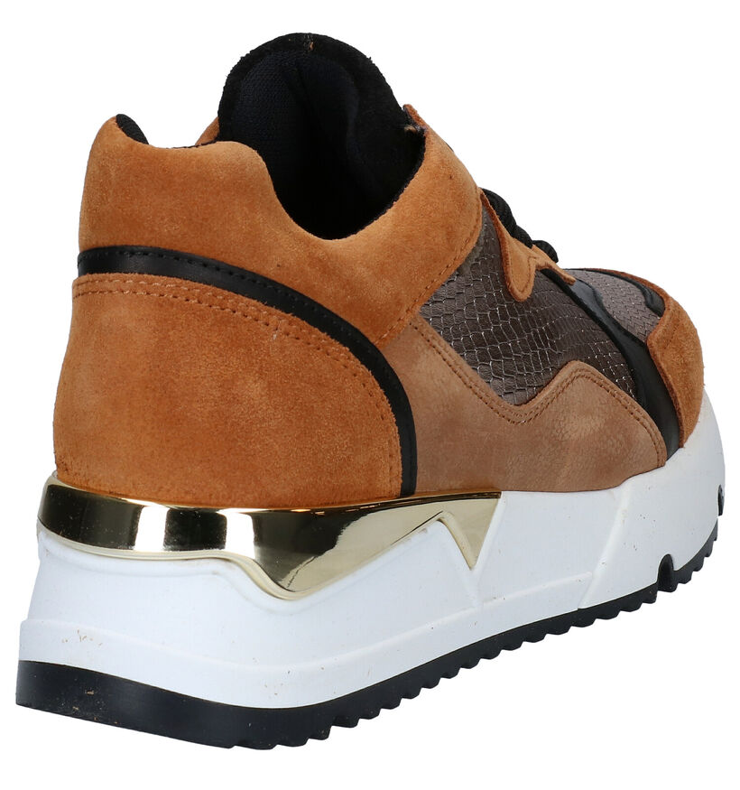 Bullboxer Cognac/Bronzen Sneakers in leer (281542)