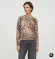 Guess Shaded Leopard Bruine/Beige Trui voor dames (381045)