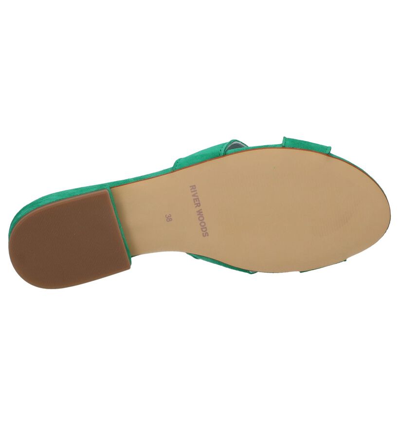 Groene Slippers River Woods Pappi in daim (253169)