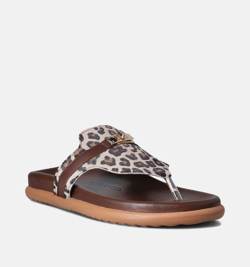 Laurent David Bruine Slippers voor dames (357849)