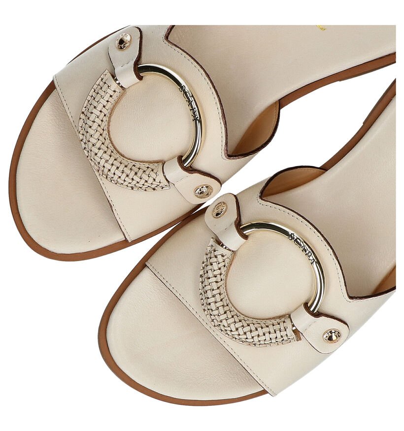 Scapa Oranje Muiltjes in leer (288865)