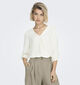 JDY Divya Witte Blouse voor dames (351359)