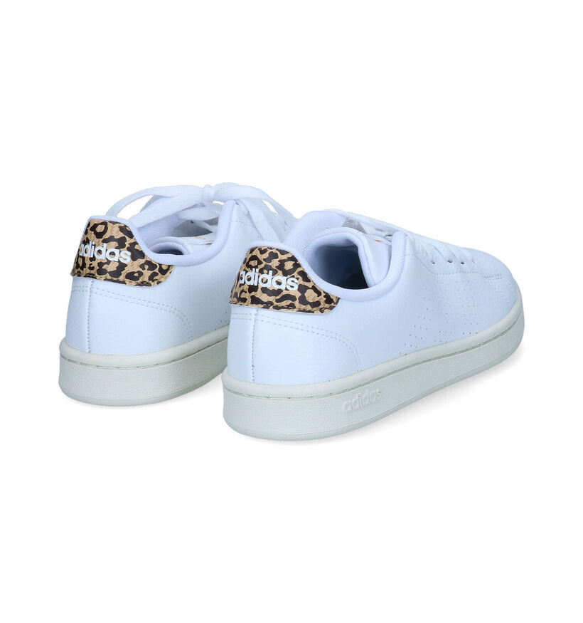 adidas Advantage Baskets en Blanc pour femmes (341435)