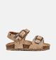 Little David Sandales pour b&eacute;b&eacute; en Taupe pour filles, gar&ccedil;ons (373070)