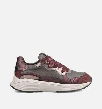 Xsensible Low Sneakers Zwart/Goud/Bordeaux