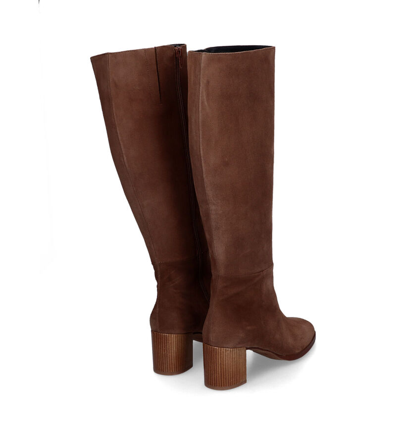 Zinda Bottes hautes en Cognac pour femmes (314374)