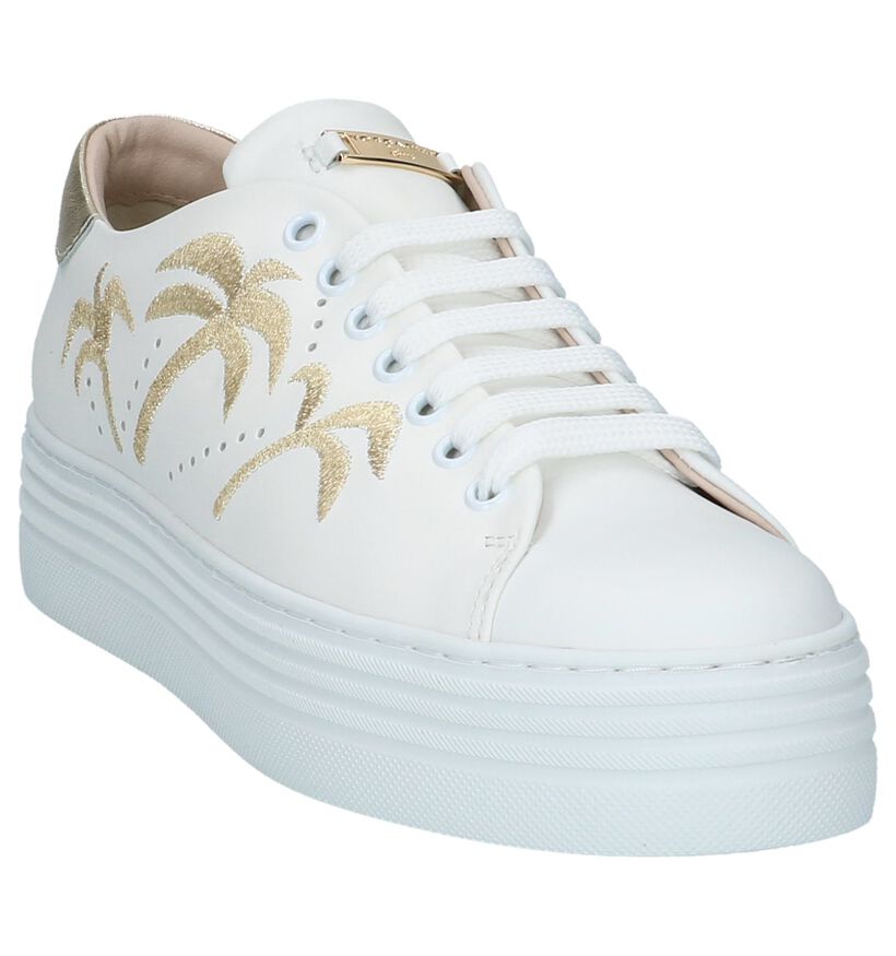 Tosca Blu Baskets basses en Blanc en cuir (214137)