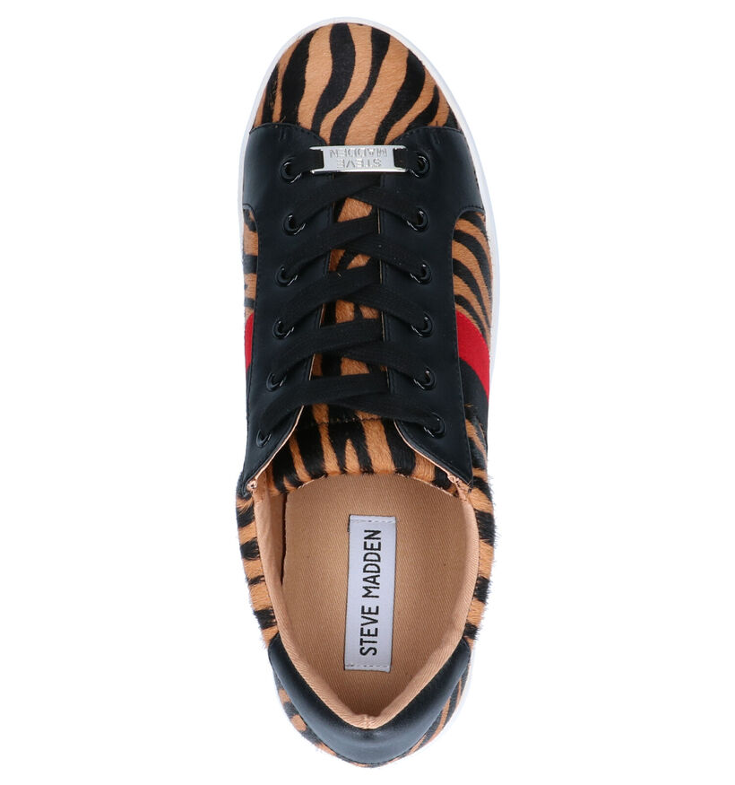 Steve Madden Belle Cognac Veterschoenen in leer (258880)