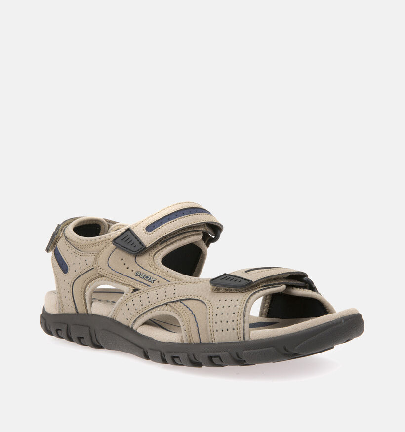 Geox Uomo Sandales de marche en Marron pour hommes (351636)